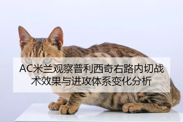 AC米兰观察普利西奇右路内切战术效果与进攻体系变化分析
